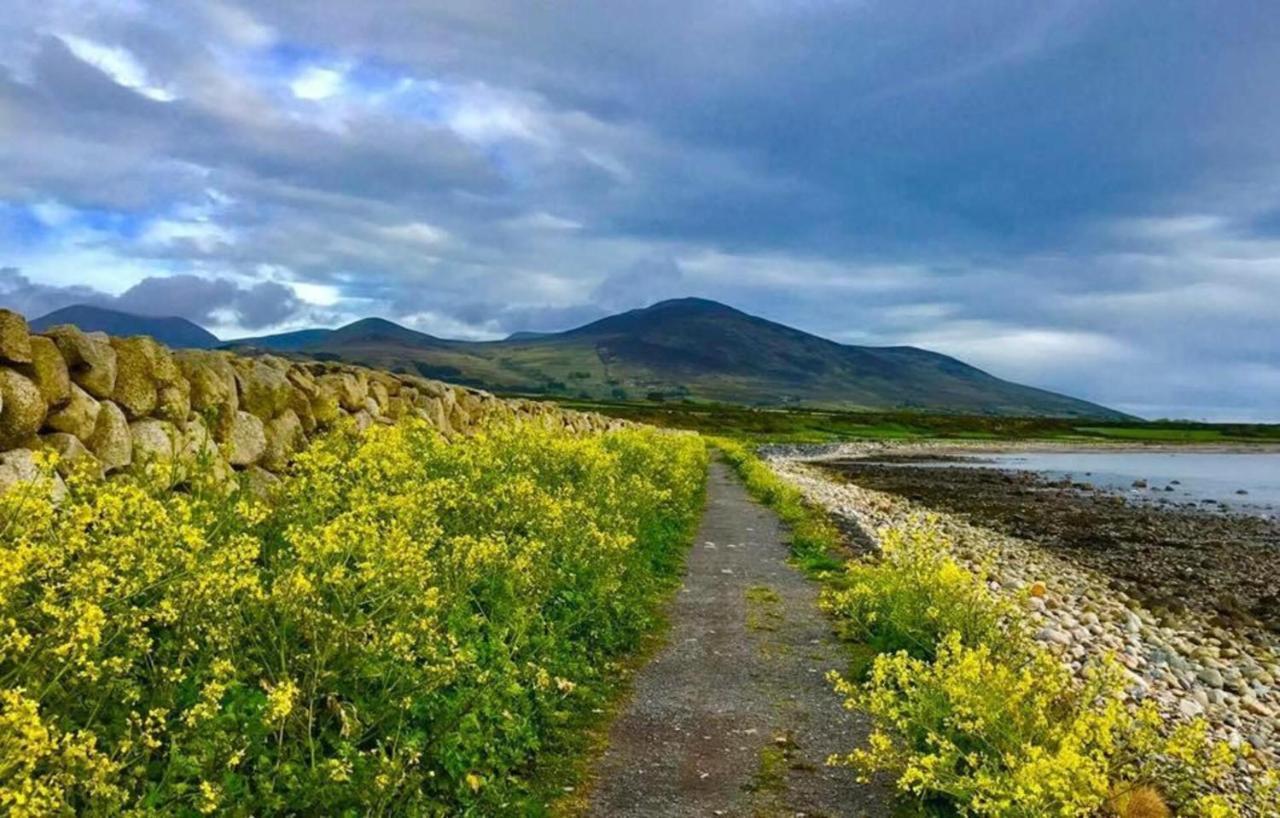 Lovely 2-Bed Cottage At The Foot Of The Mournes Newry Dış mekan fotoğraf